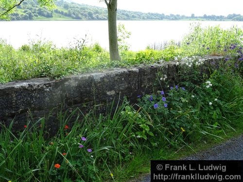 Around Glencar Lake